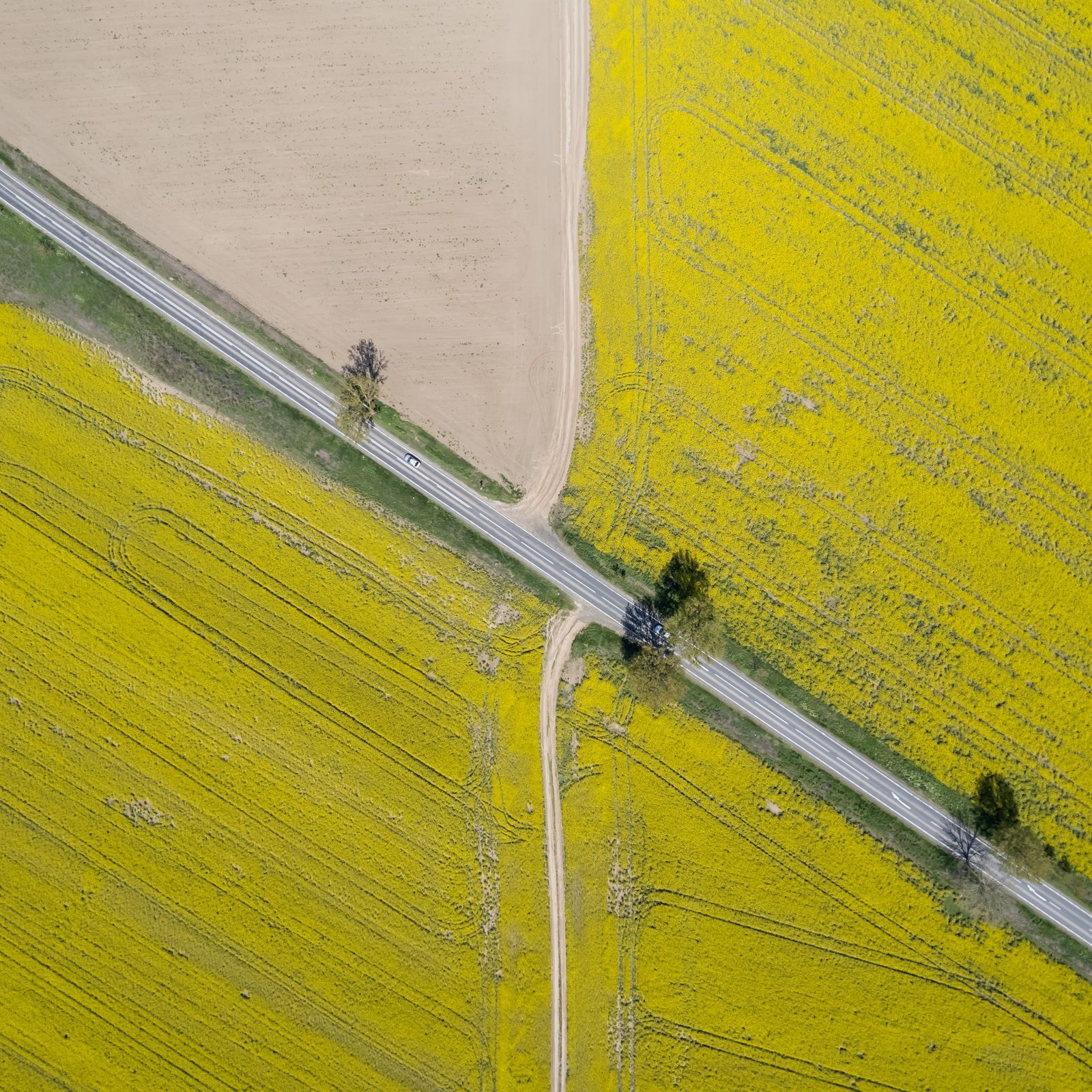 Alexandre Moreira — Developers · Italy: Rain or shine, the connection holds — weather doesn't throttle data.