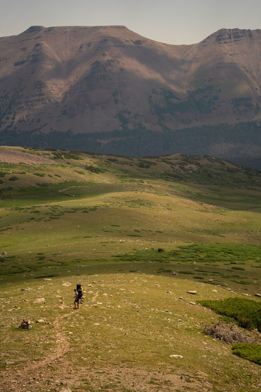a person riding a bike on a grassy hill