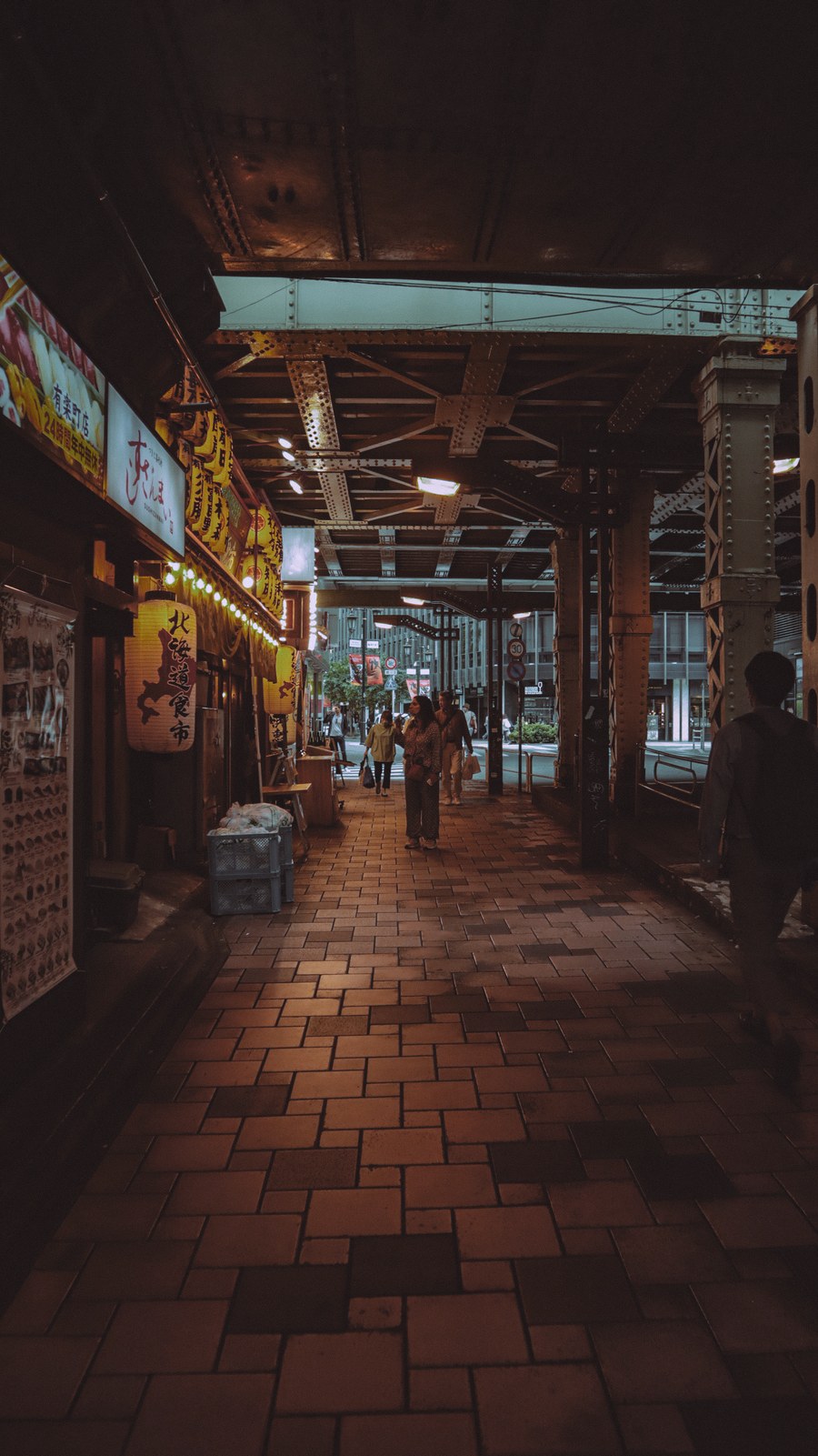 atmospheric tokyo street under railway bridge — Developers · Eritrea: Hiking the ridge: trail map offline, emergency numbers saved.