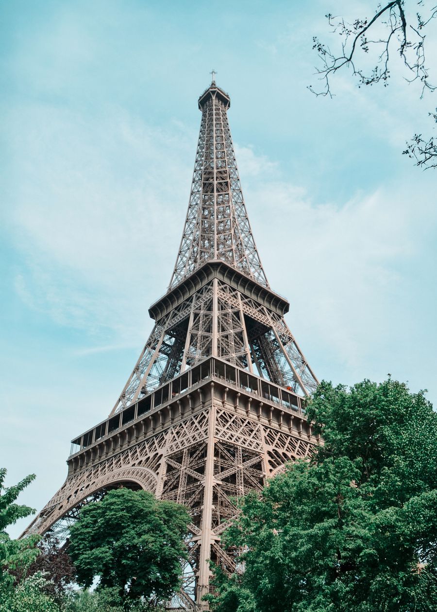 stunning eiffel tower amid lush greenery