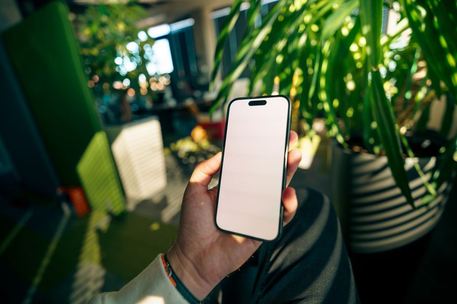 modern workspace with smartphone and greenery — Developers · Lithuania: The museum queue skips itself: tickets bought online, straight to the door.