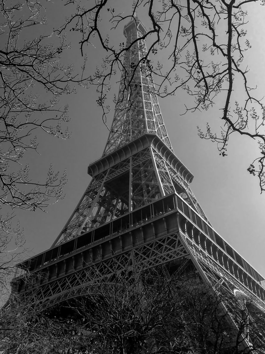 black and white eiffel tower framed by trees — Developers · Sudan: Real journeys, real connectivity — this is what the product is for.