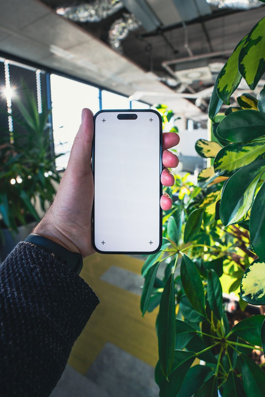 hand holding smartphone with greenery in office