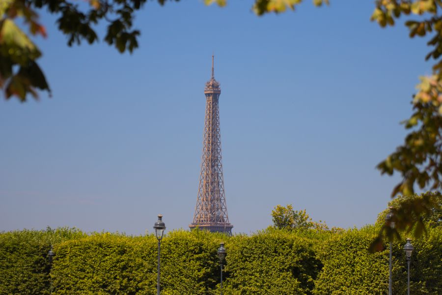 eiffel tower view through lush greenery in paris — Developers · Turkmenistan: The museum queue skips itself: tickets bought online, straight to the door.