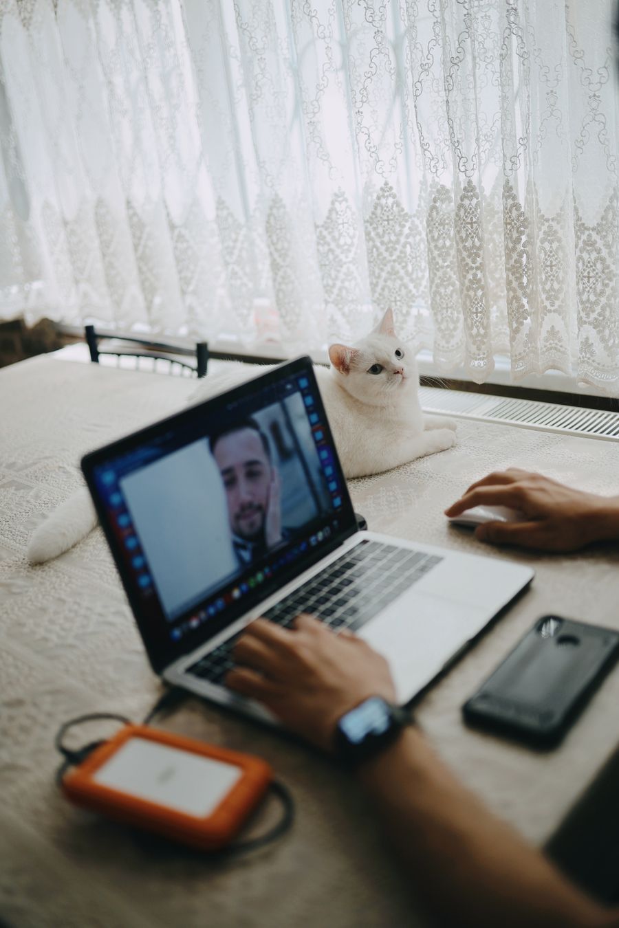 crop man working on laptop at table with domestic cat — Developers · Samoa: Border crossings without the paperwork shuffle: ID photos stored on the phone.