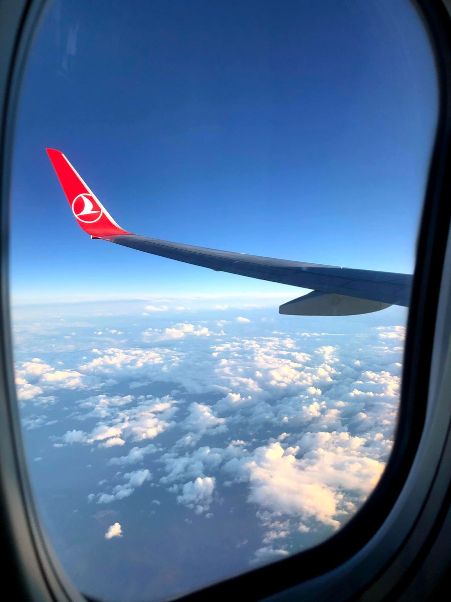 a turkish airplane flying above the white clouds — Developers · Italy: The museum queue skips itself: tickets bought online, straight to the door.